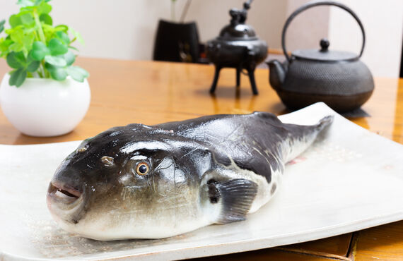 三宮で旬のふぐ料理が味わえる創作和食店