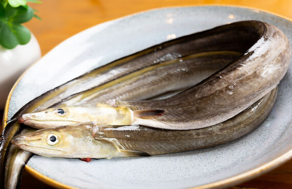 三宮で旬の鱧料理が味わえる創作和食店